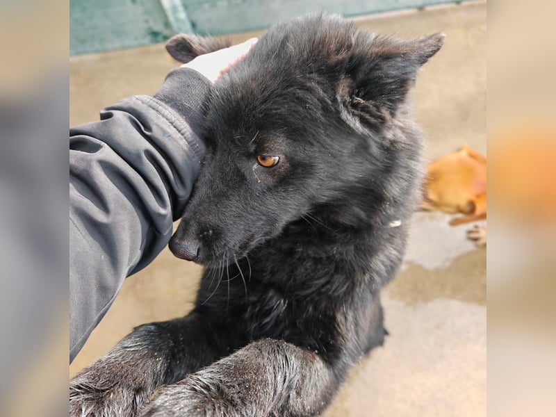 Liebe Mirka sucht ihre Familie ❤️