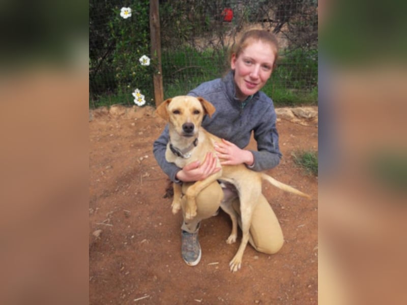 Sonnenschein Knopf sucht seine Lieblingsmenschen