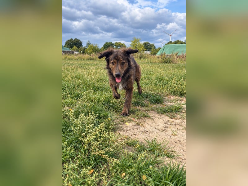 Unser toller Finn