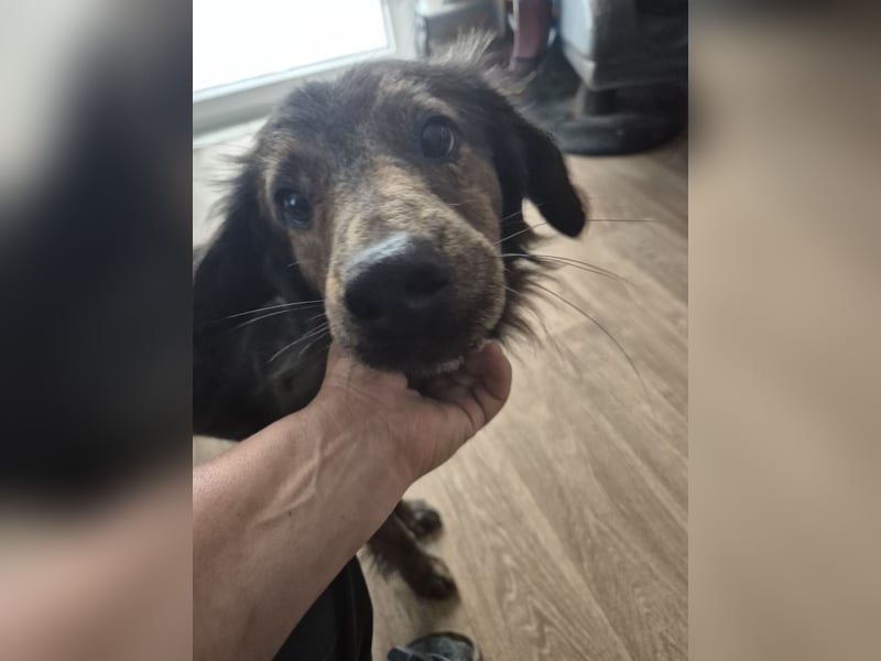 Unser toller Finn