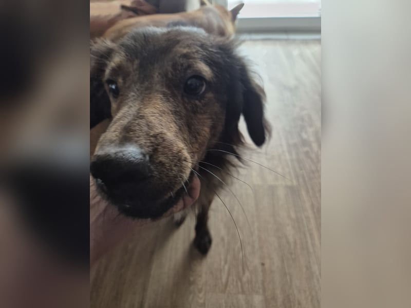 Unser toller Finn