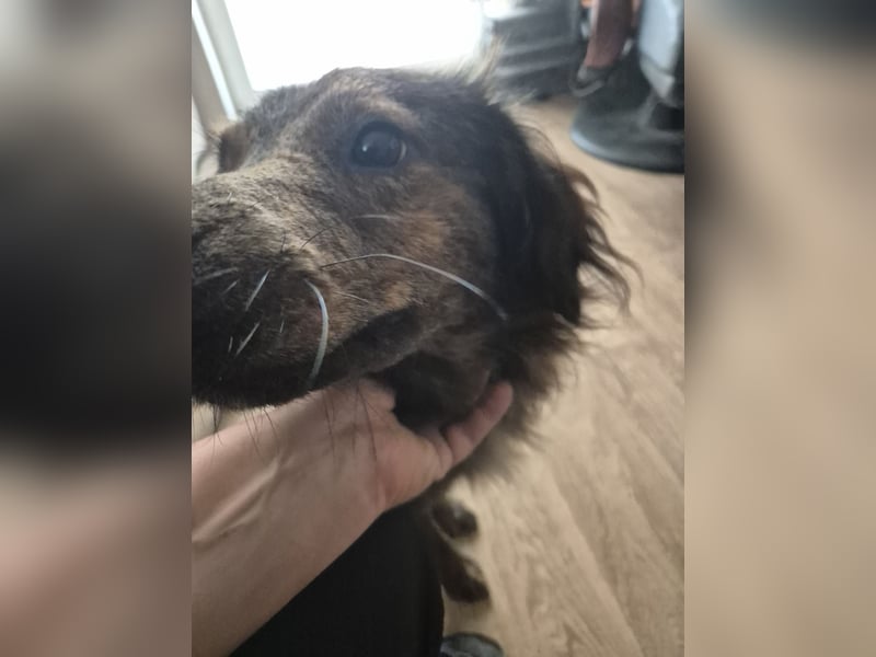Unser toller Finn