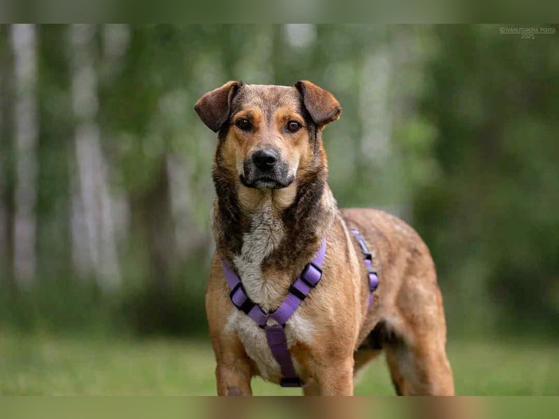 Soziale Rita sucht ihre Menschen