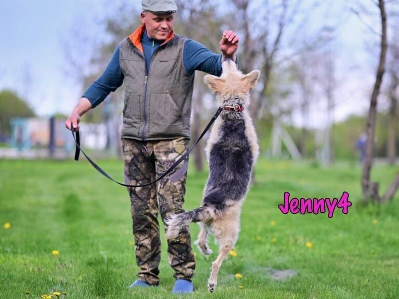 Jenny4 geb. 01/2018 - bezaubernde und super liebe, kleine Wuschelhündin!