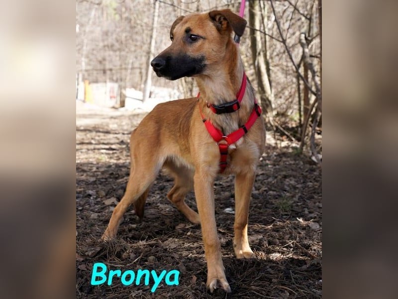 Bronya geb. 04/2024 - neugieriger und lernwilliger kleiner Entdecker!