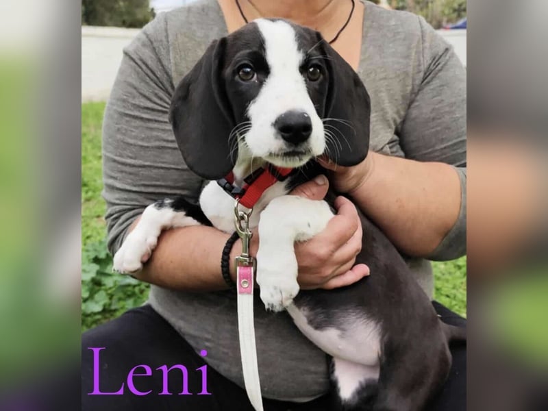 Leni geb. 08/2025 (GRC) - liebevolles und fröhliches, kleines Flaschenkind!