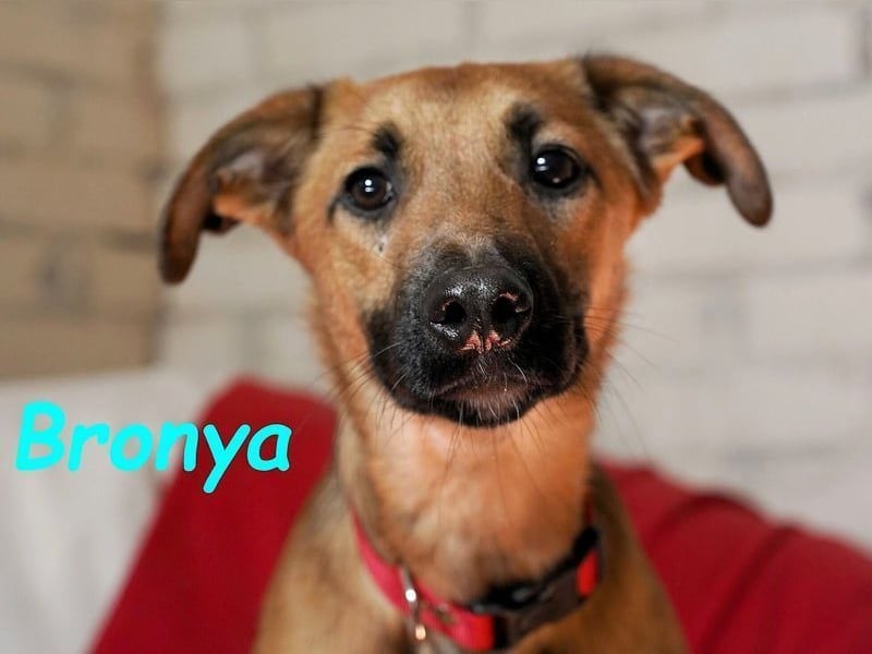 Bronya geb. 04/2024 - neugieriger und lernwilliger kleiner Entdecker!