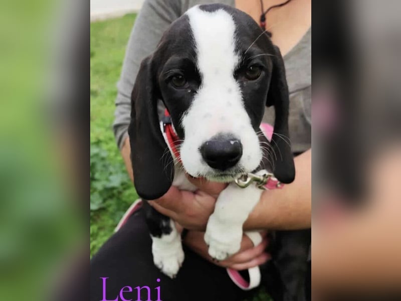 Leni geb. 08/2025 (GRC) - liebevolles und fröhliches, kleines Flaschenkind!