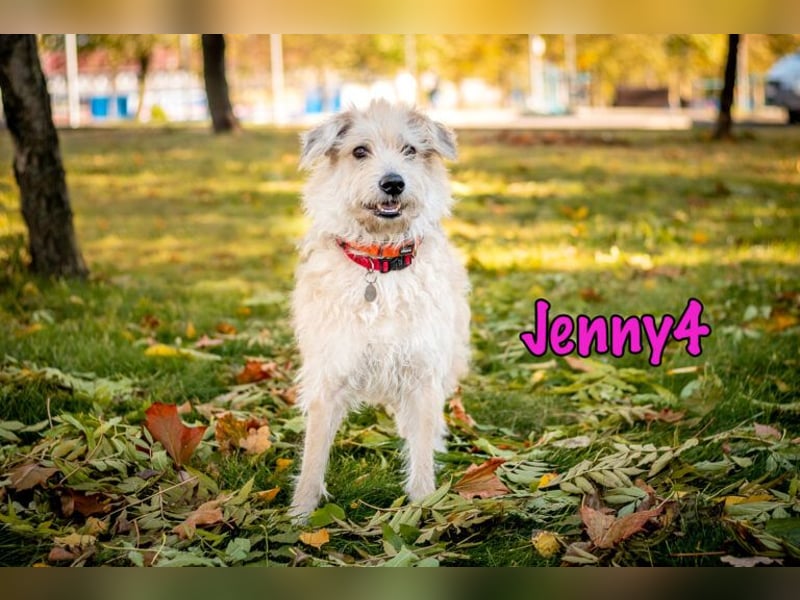 Jenny4 geb. 01/2018 - bezaubernde und super liebe, kleine Wuschelhündin!