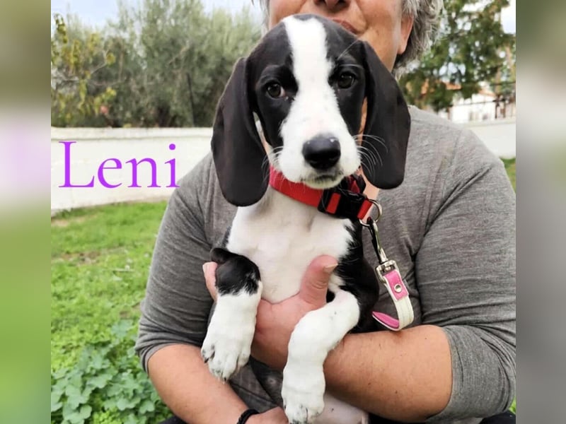 Leni geb. 08/2025 (GRC) - liebevolles und fröhliches, kleines Flaschenkind!