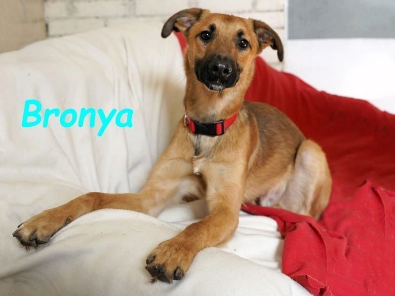 Bronya geb. 04/2024 - neugieriger und lernwilliger kleiner Entdecker!