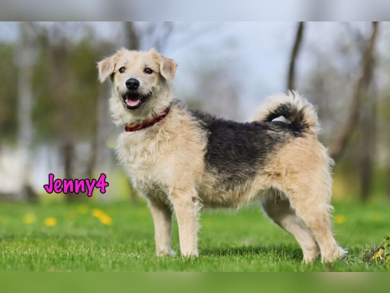Jenny4 geb. 01/2018 - bezaubernde und super liebe, kleine Wuschelhündin!