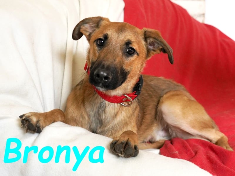 Bronya geb. 04/2024 - neugieriger und lernwilliger kleiner Entdecker!