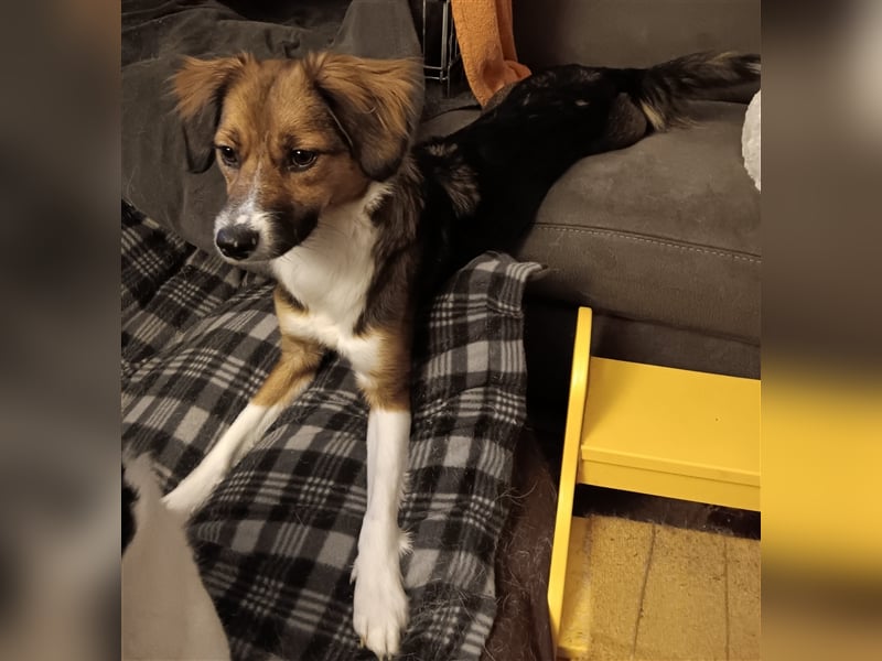 Malou - Frau Hasenfuß