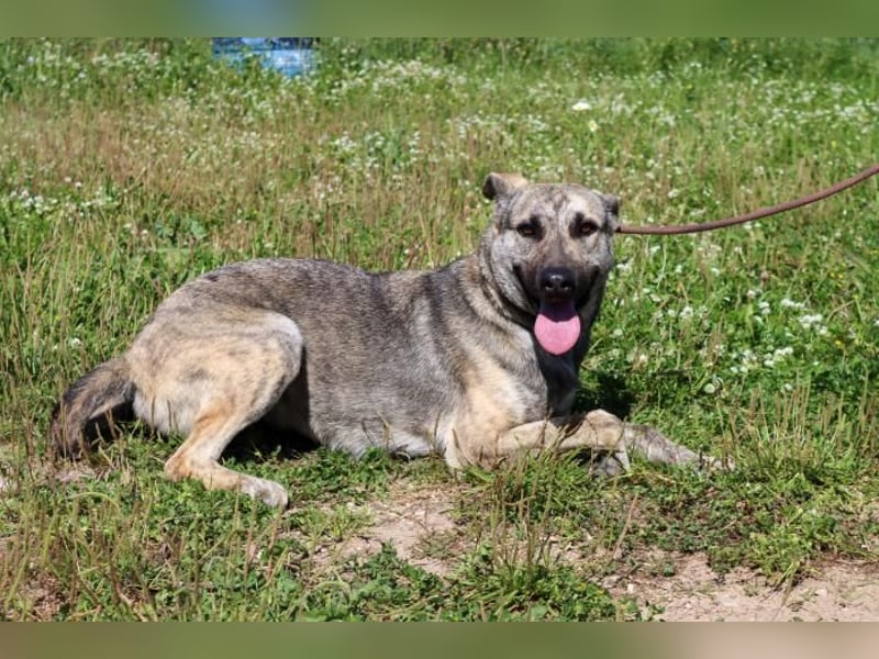 Jennifer – ein liebes Mädchen