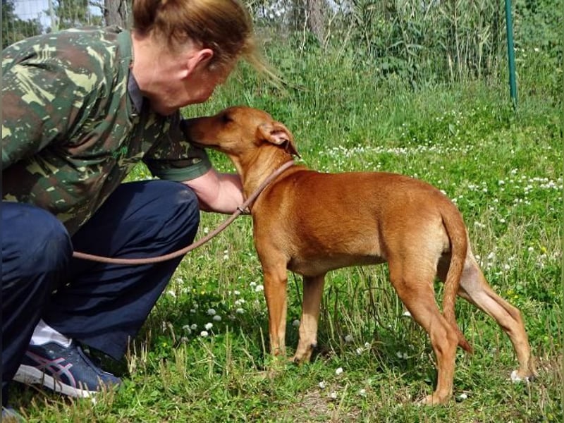 Ciana - eine sanfte Nachzüglerin