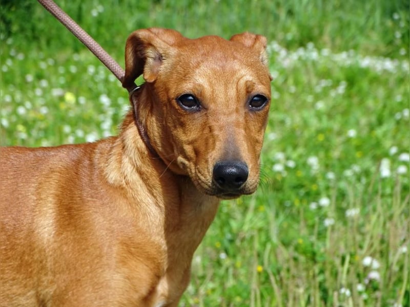 Ciana - eine sanfte Nachzüglerin