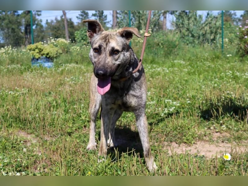 Jennifer – ein liebes Mädchen