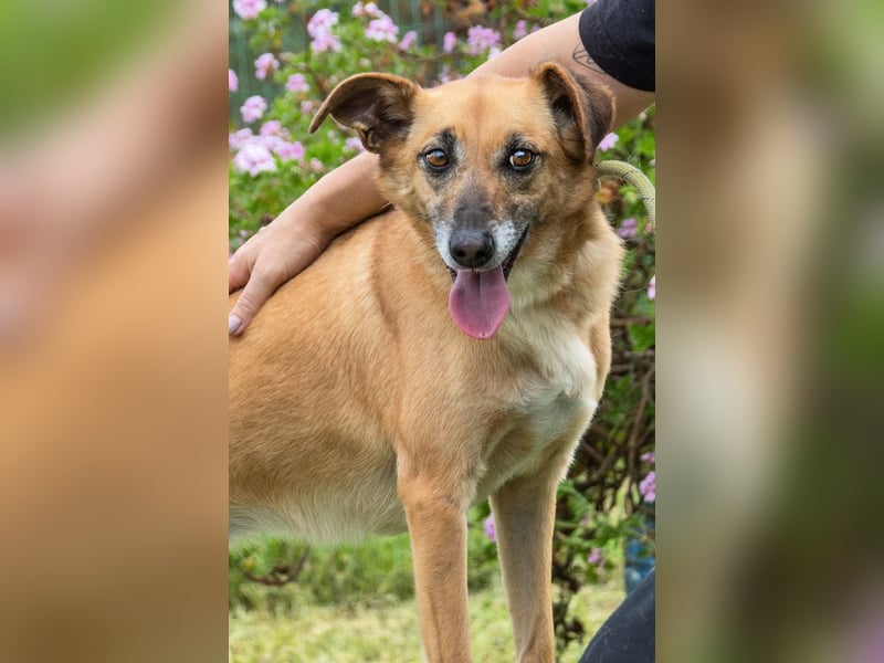 Sunny – eine selbstbewusste Dame