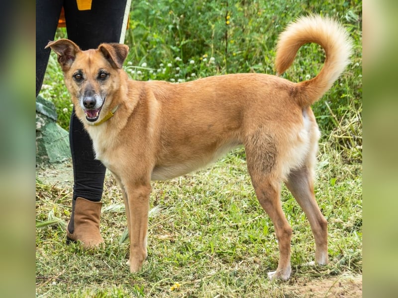 Sunny – eine selbstbewusste Dame