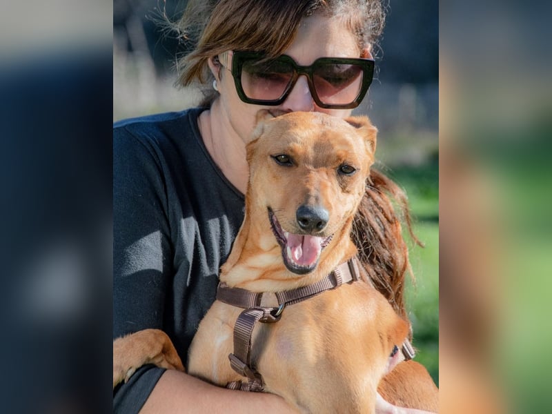 Ciana - eine sanfte Nachzüglerin