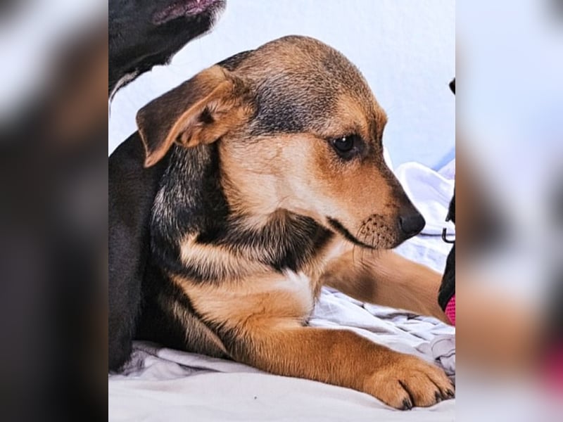 Moritz – ein kleiner Charmeur