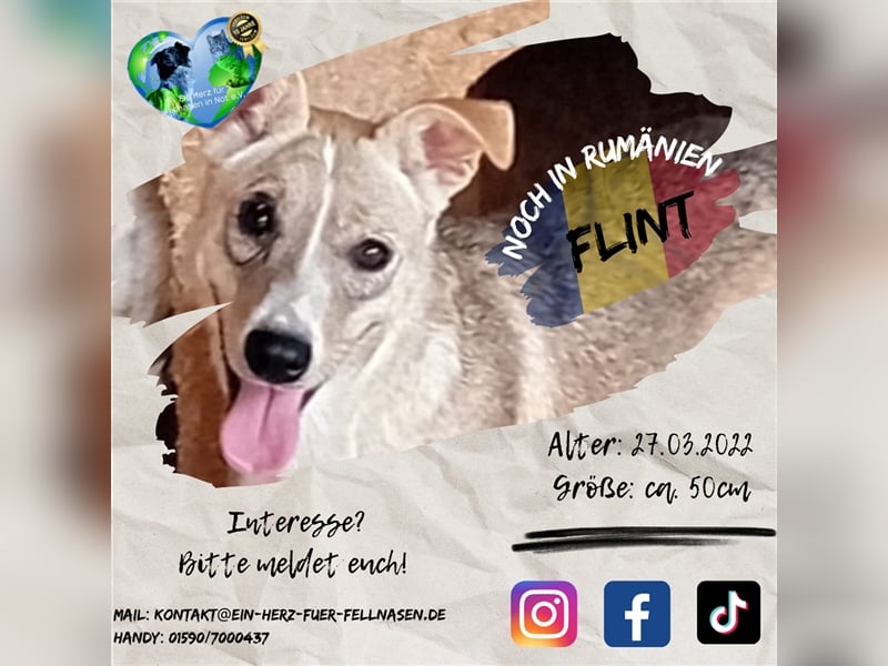 Unser zauberhafter Flint