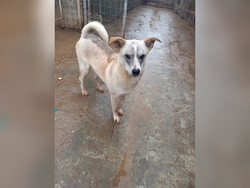 Unsere zauberhafte Fiby