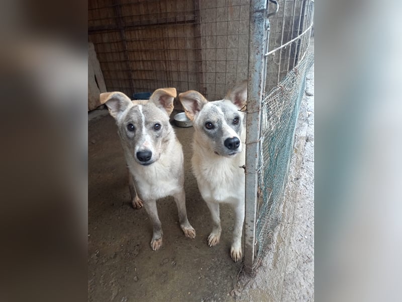 Unsere zauberhafte Fiby