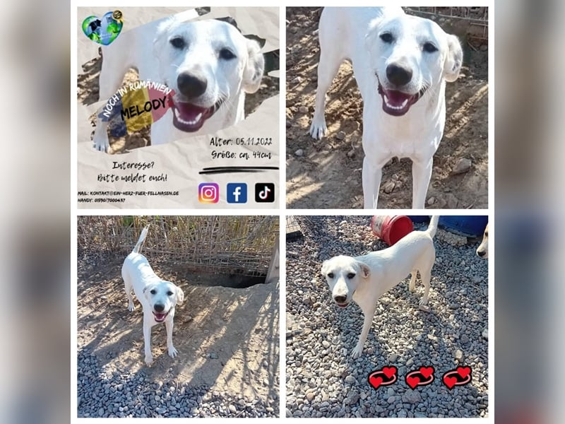 Unsere süße Melody