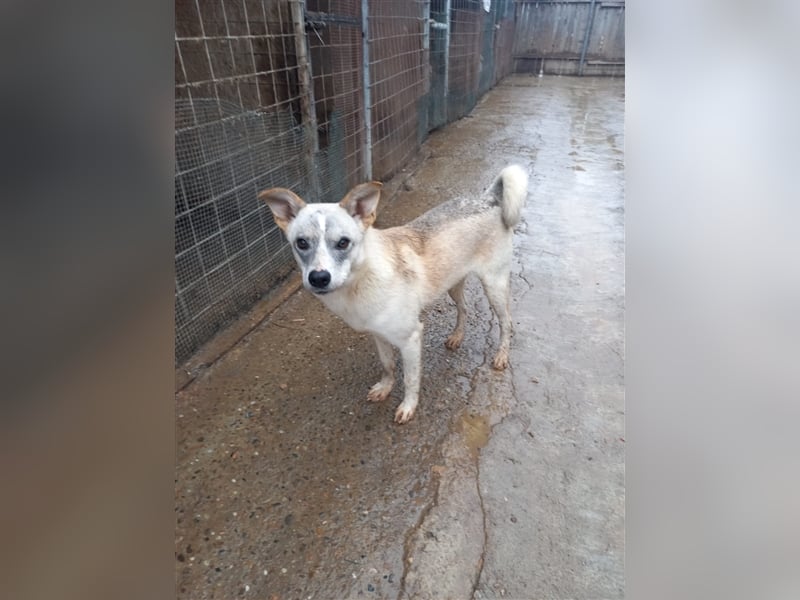 Unsere zauberhafte Fiby