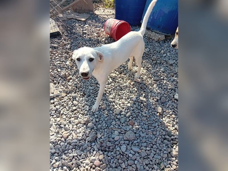 Unsere süße Melody