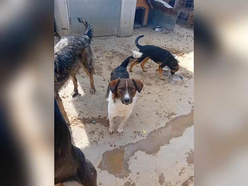 Unser liebesbedürftiger Nicky