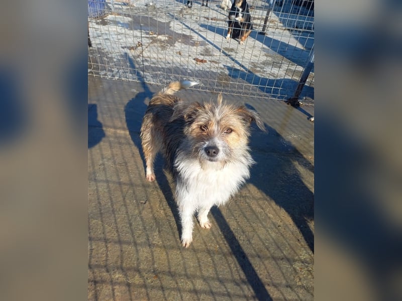 Unsere liebe Heidi