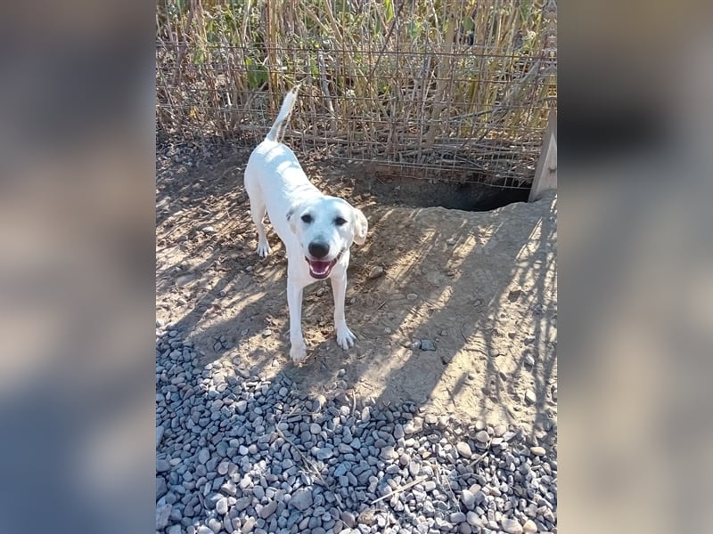 Unsere süße Melody