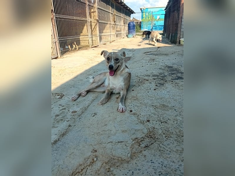 Unser zauberhafter Flint