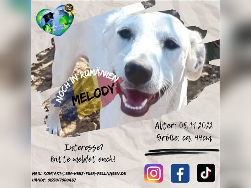 Unsere süße Melody