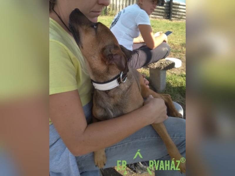 Ruby wünscht sich sein für immer zuhause