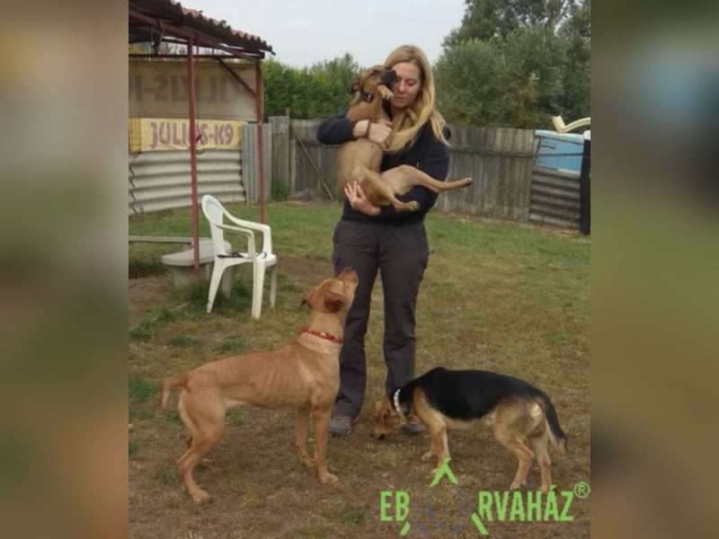 Ruby wünscht sich sein für immer zuhause