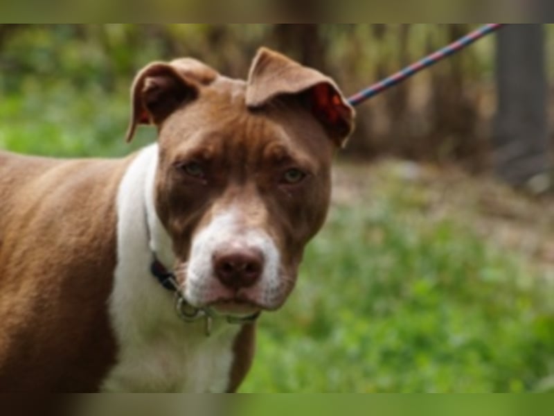 Anni Ranni hat ganz viel Liebe zu verschenken