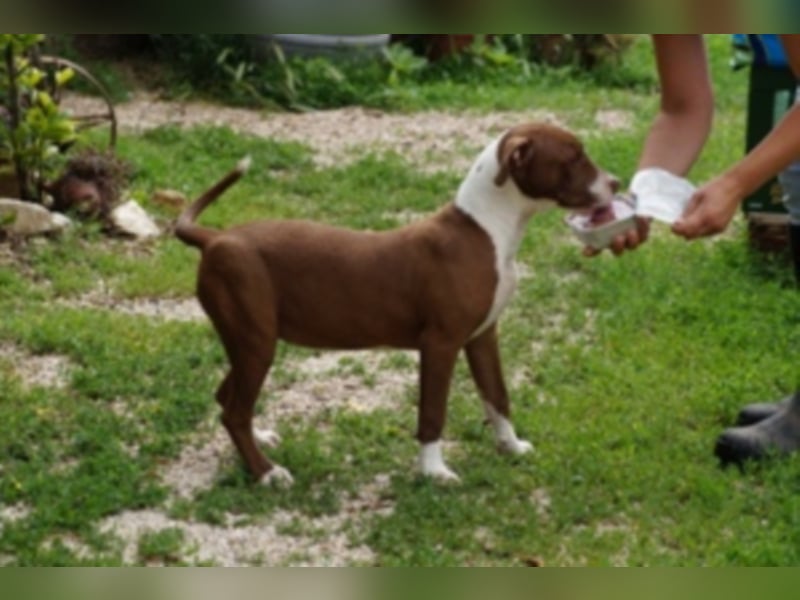 Anni Ranni hat ganz viel Liebe zu verschenken