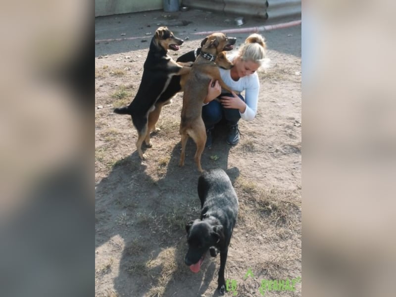 Ruby wünscht sich sein für immer zuhause