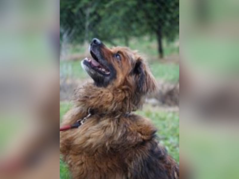 Rudi sucht Rentenplatz