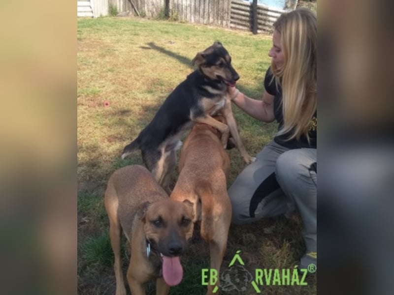 Ruby wünscht sich sein für immer zuhause