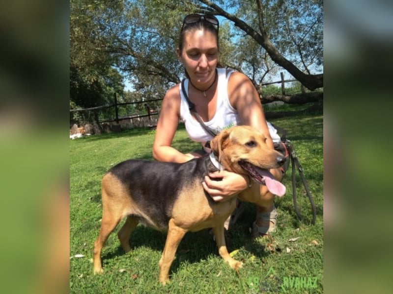 Pici sehnt sich nach einem zuhause