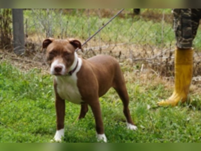 Anni Ranni hat ganz viel Liebe zu verschenken