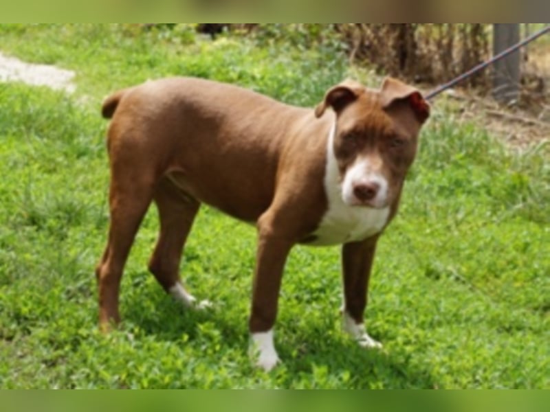 Anni Ranni hat ganz viel Liebe zu verschenken