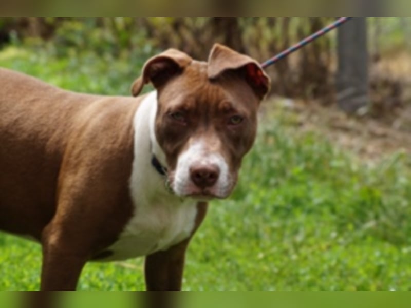 Anni Ranni hat ganz viel Liebe zu verschenken