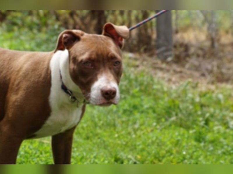 Anni Ranni hat ganz viel Liebe zu verschenken