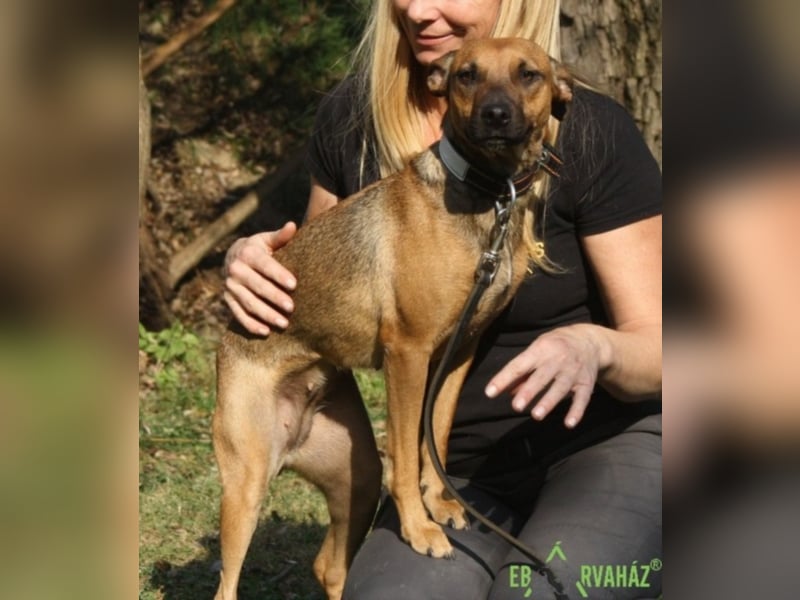 Ruby wünscht sich sein für immer zuhause